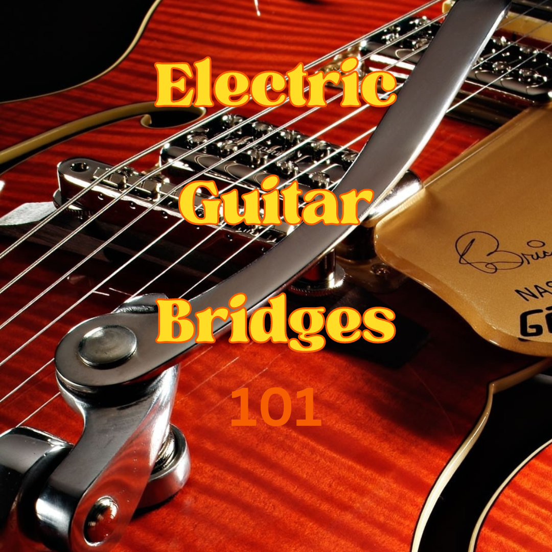 Guitar Bridges for Beginners Fixed / Tremolo bridge 101 JP music madness