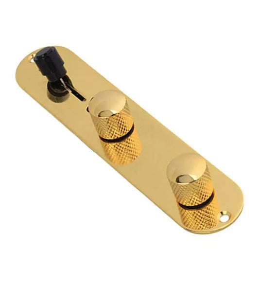 Telecaster Wired Gold Guitar Control Plate 